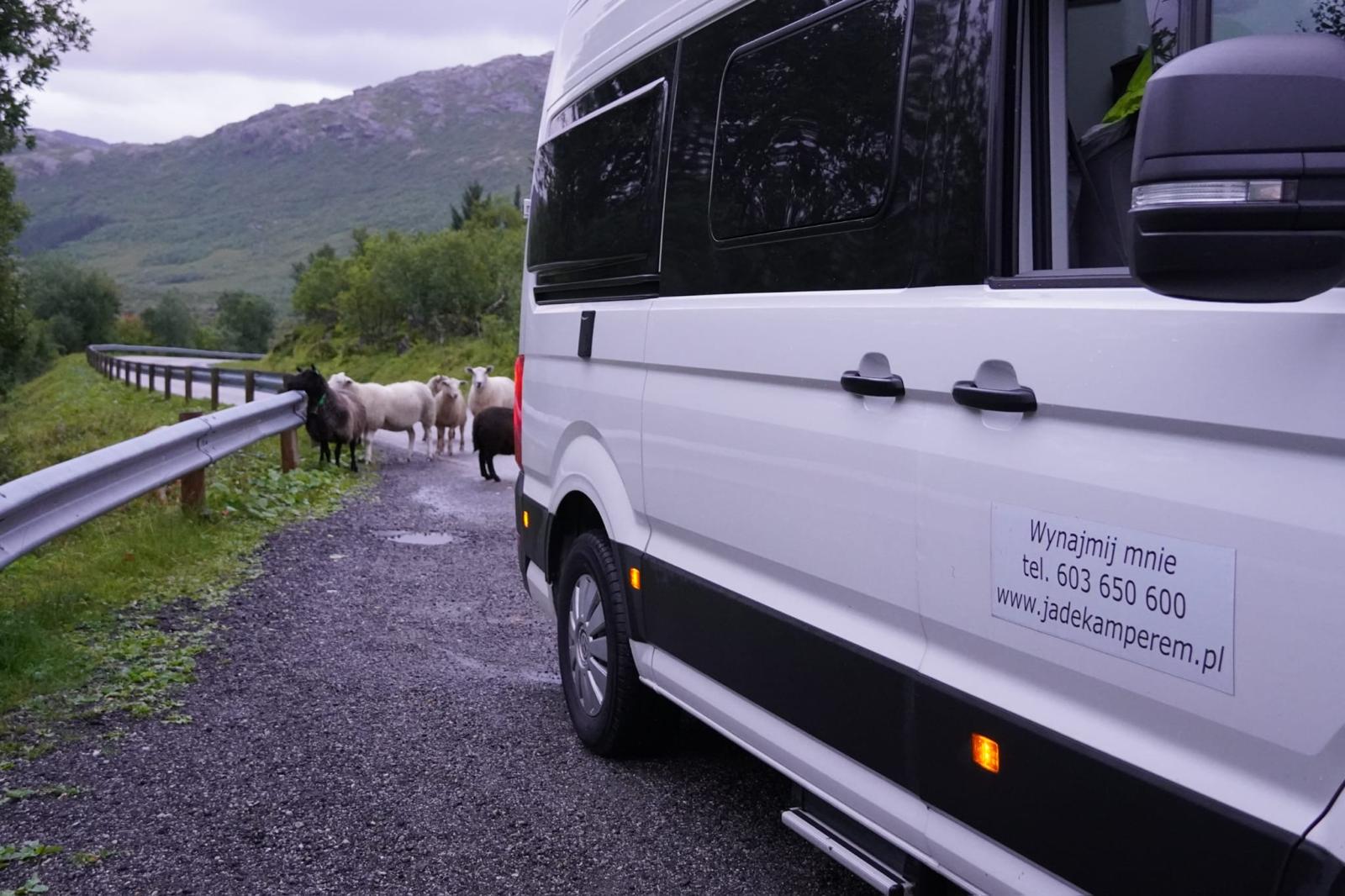 Kamper Grand California jesienią na postoju – jadekamperem.pl